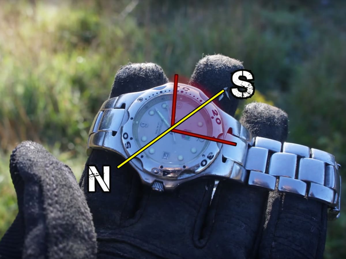 I watch compass discount