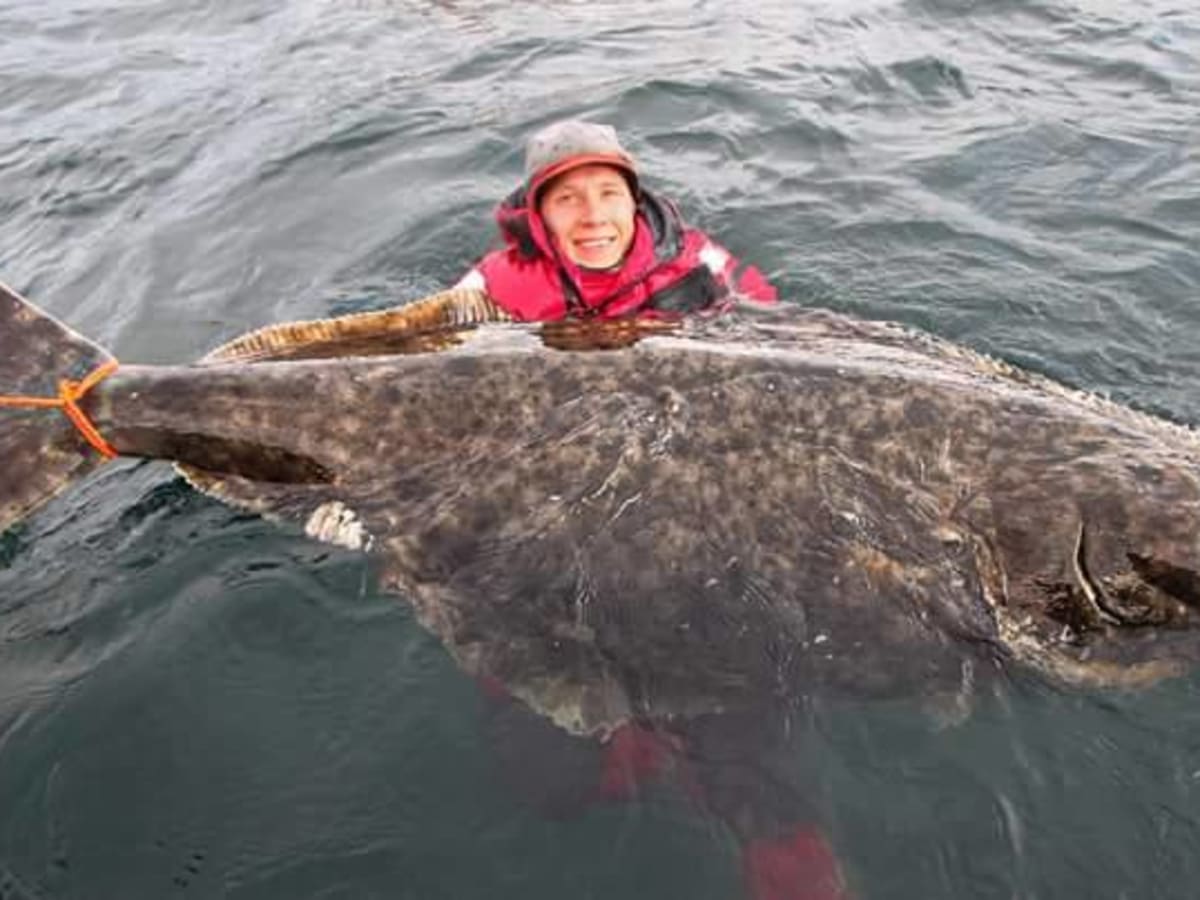 Halibut watches hotsell