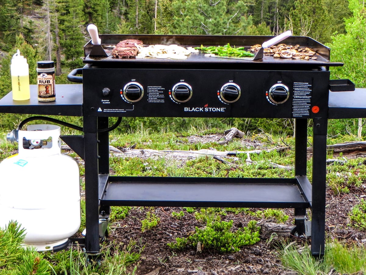 Outdoor griddle cooking station clearance