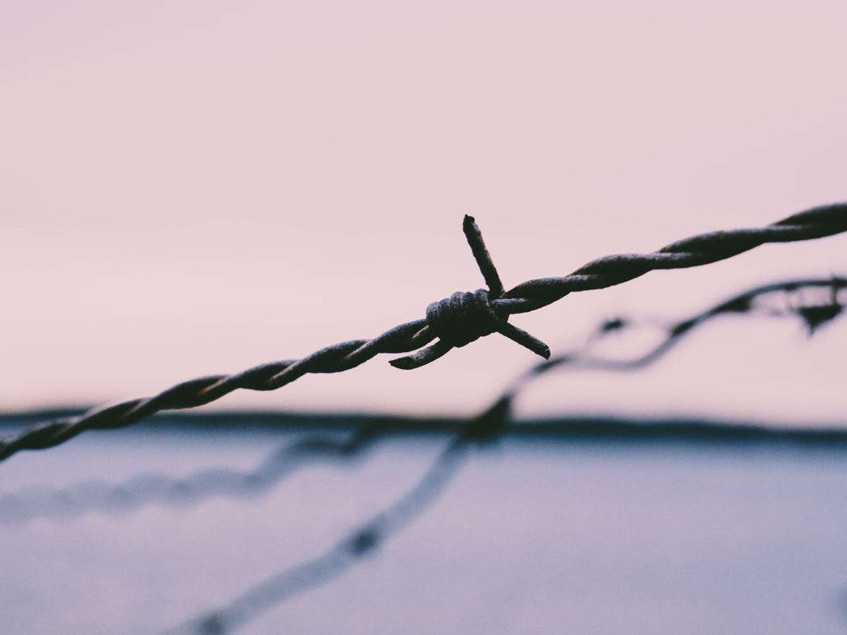 Barbed wire calgary deals