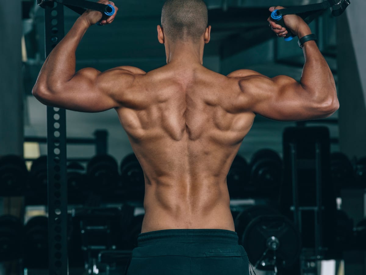 Muscle gym new arrivals