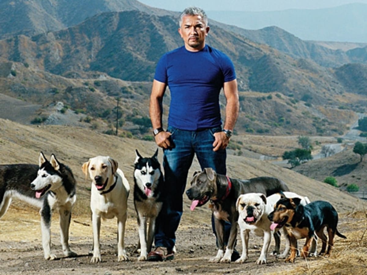 Mexican hotsell dog whisperer