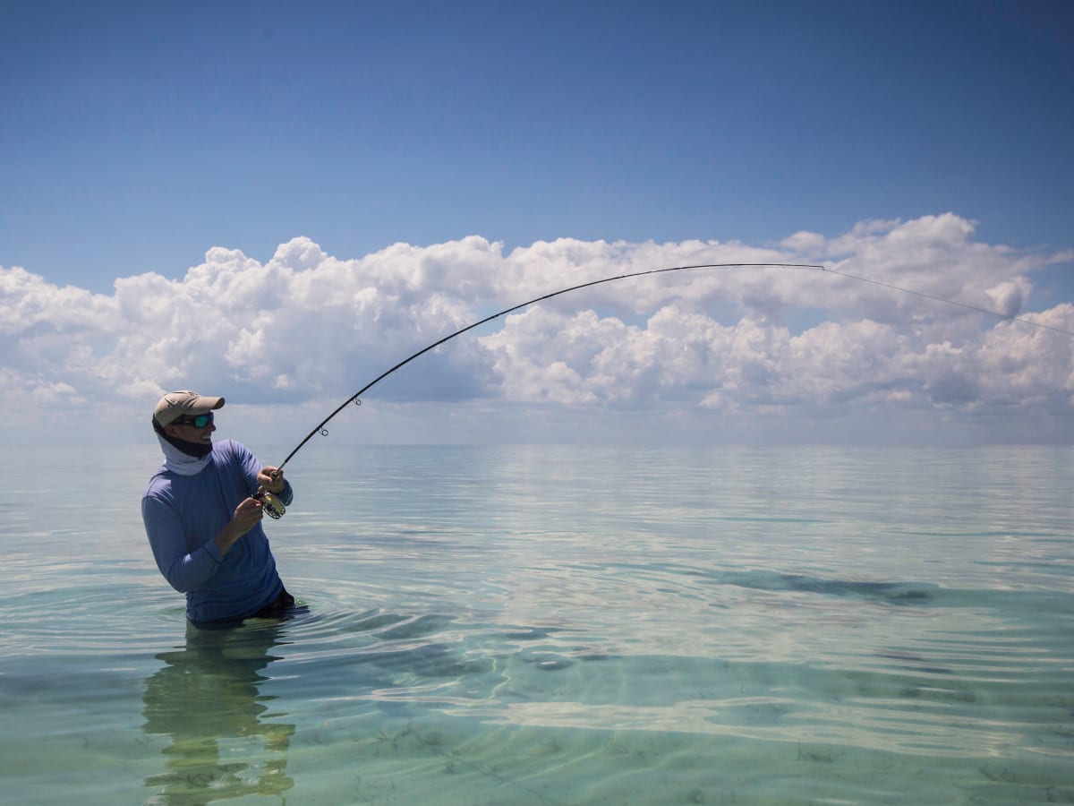 Fly on sale fishing tips