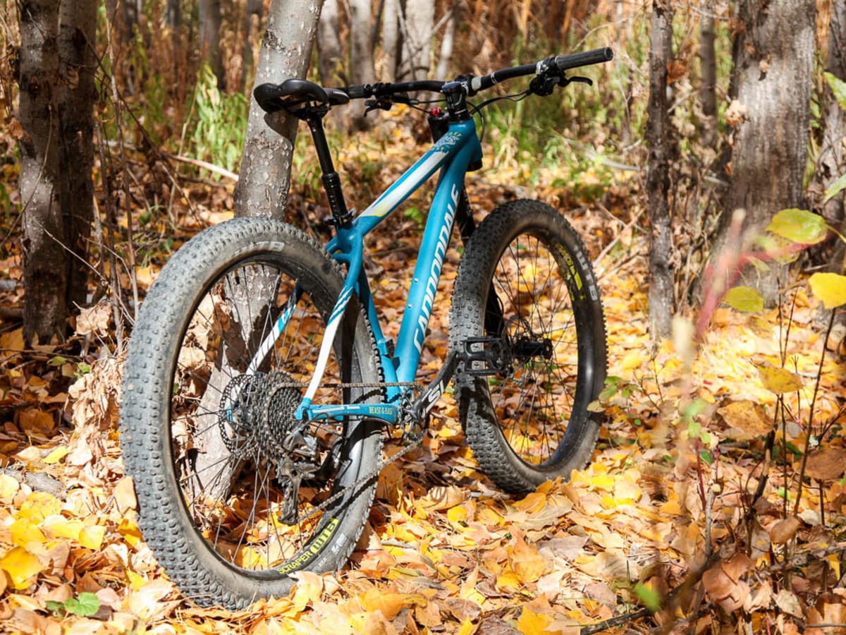 Cannondale beast of the east 2 2017 mountain bike best sale