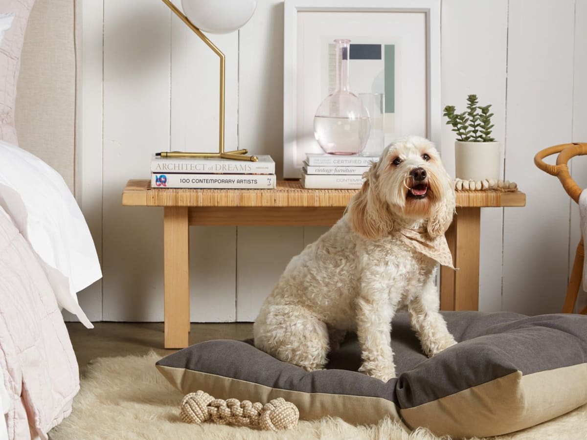 Tommy hilfiger dog bed online