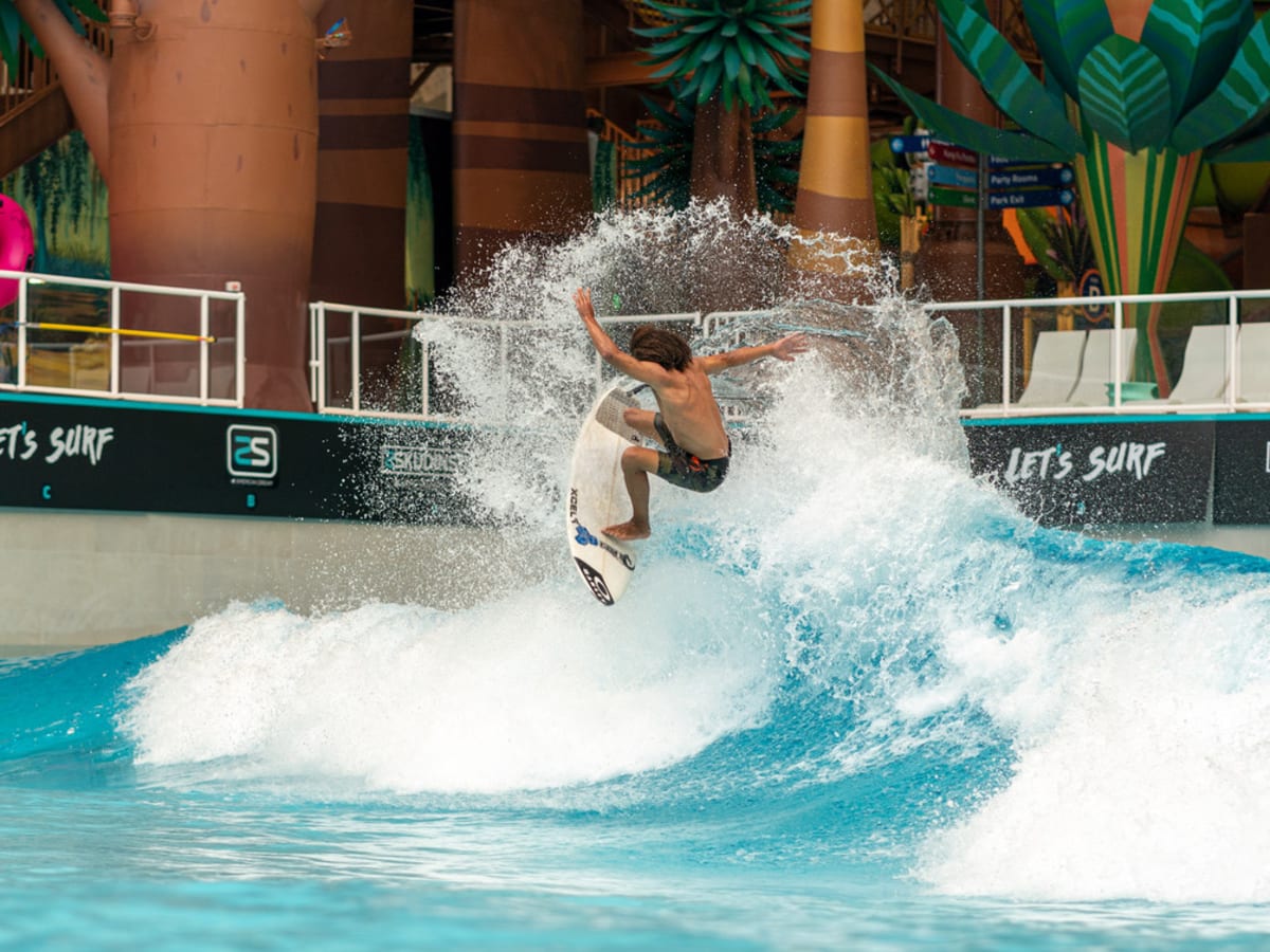 Dream of surfing new arrivals