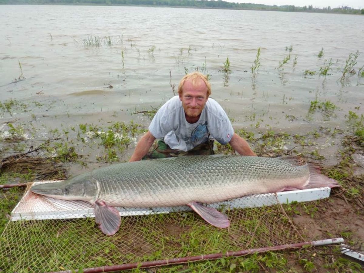 Alligator gar boots top