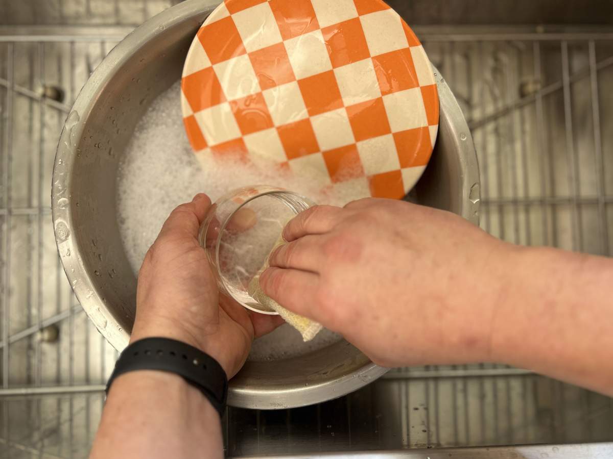 Water dishes new arrivals