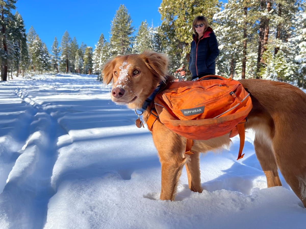 Ruffwear approach deals pack