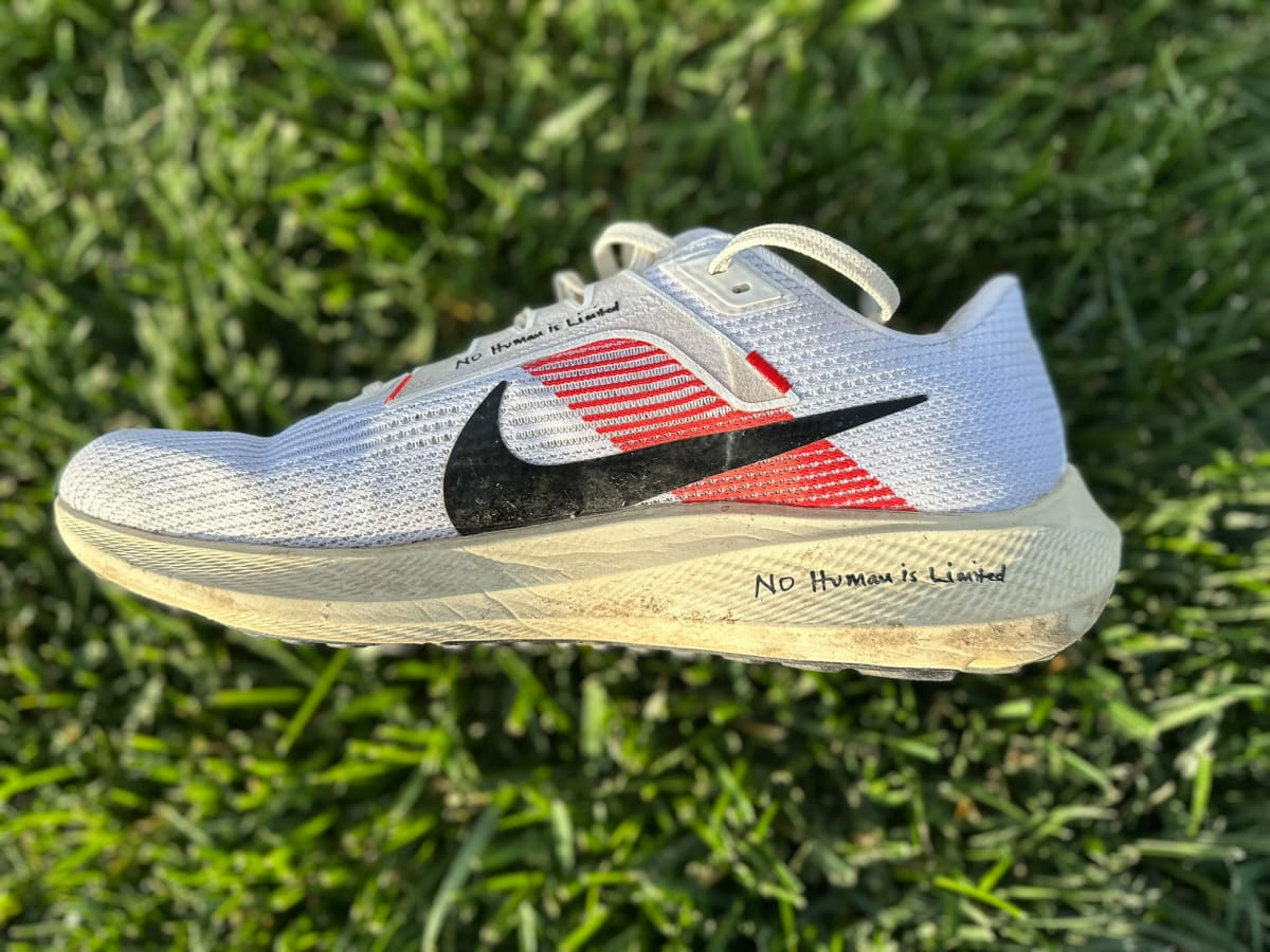 Nike pegasus clearance latest version