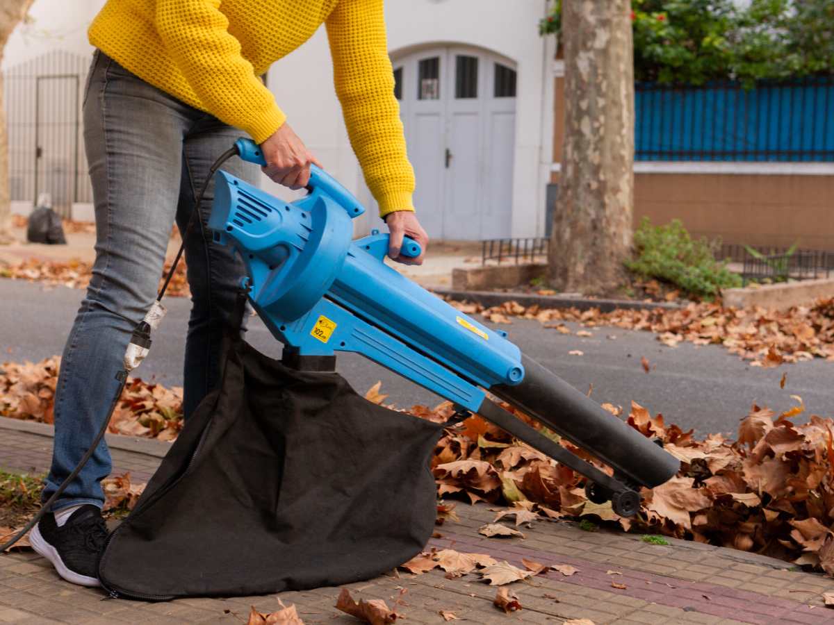 The Pros and Cons of Mulching Your Fall Leaves Men s Journal Home Living Handbook