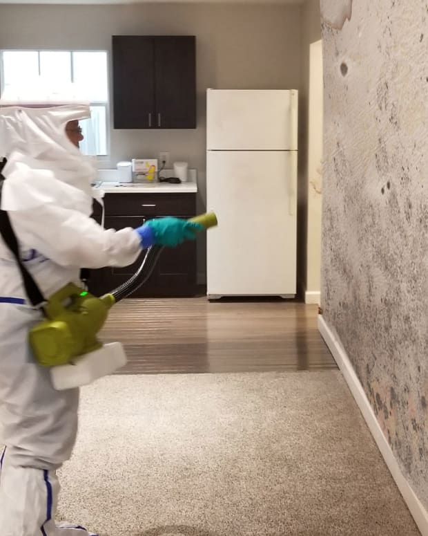 Mold remediation in a home with black mold on the walls near a kitchen.