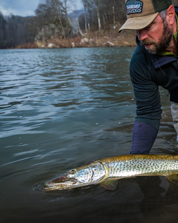 5 Ways to Break Through the Fly Fishing Learning Curve