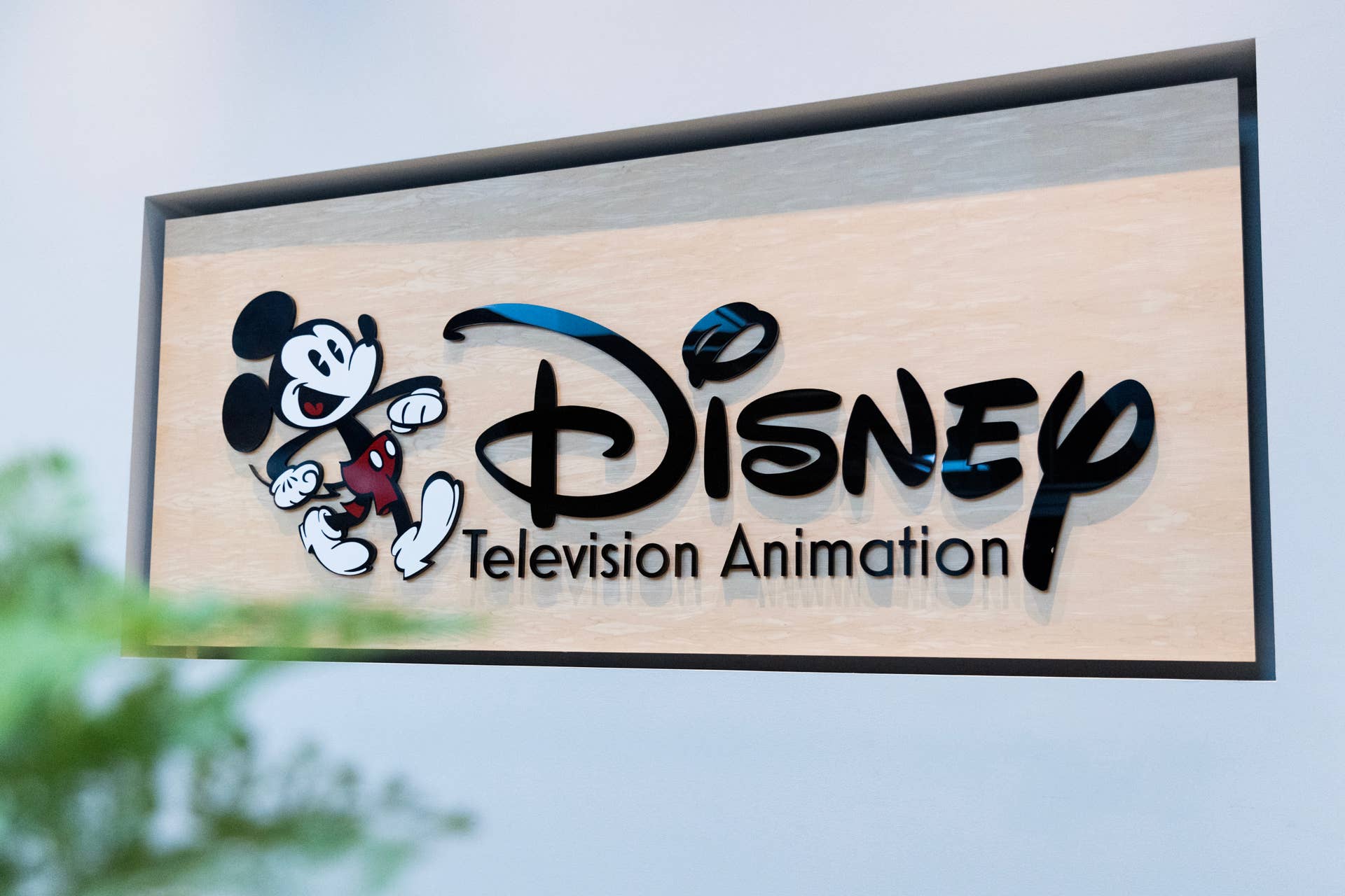 Walt Disney Television Animation Logo Disney Television