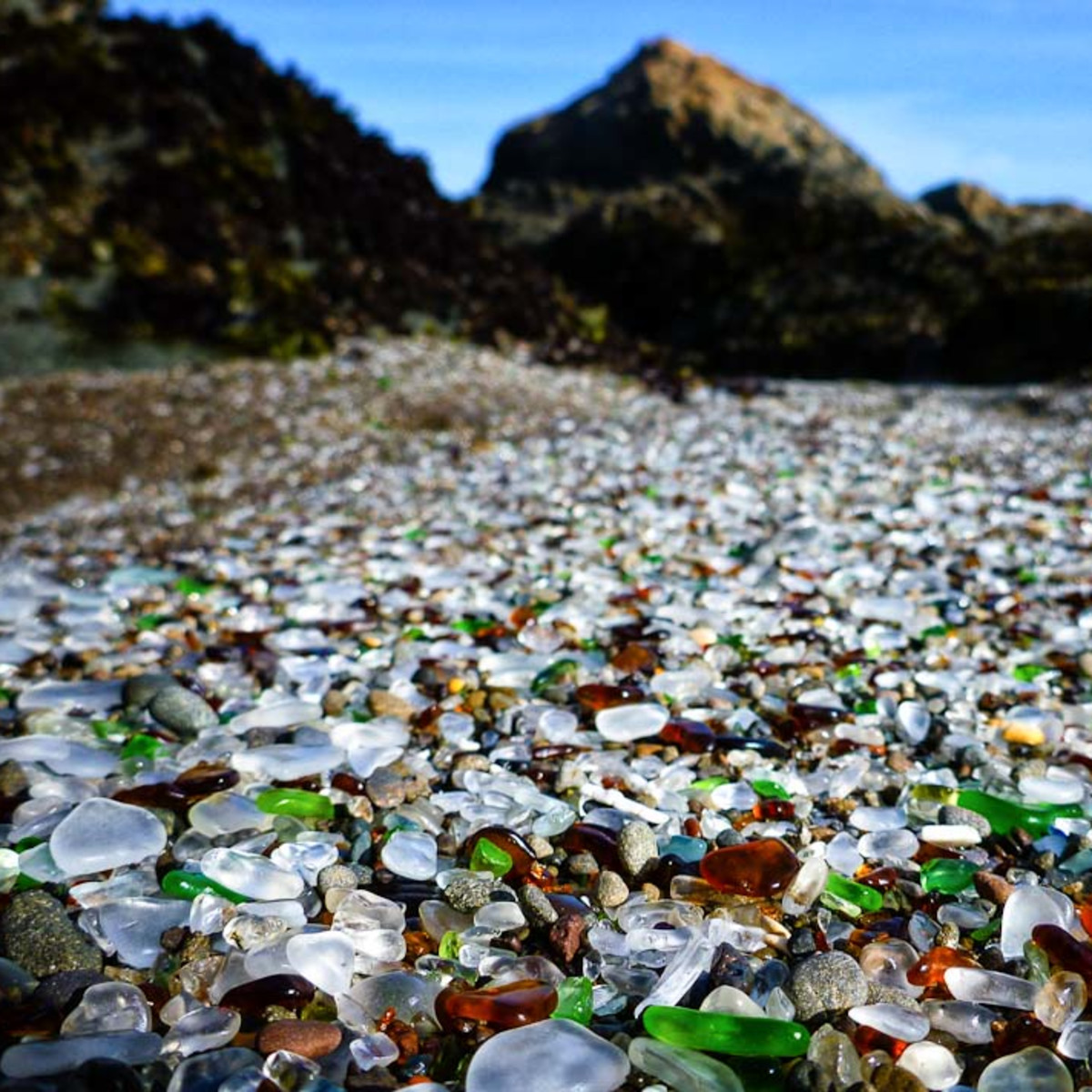 フォートブラッグの土　Fort Bragg フォートブラッグの土 Fort Bragg フォートブラッグの土 Fort