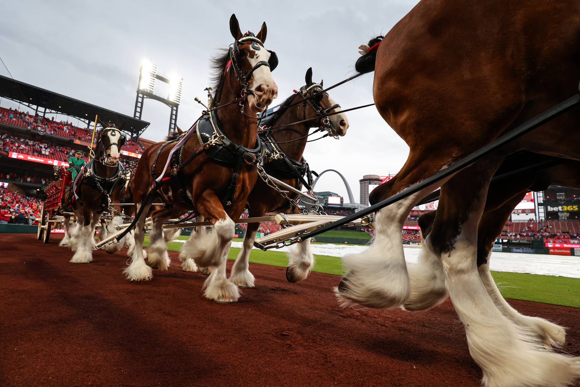 Budweiser Super Bowl Commercial 2026 Sends Clear Message - Men's Journal