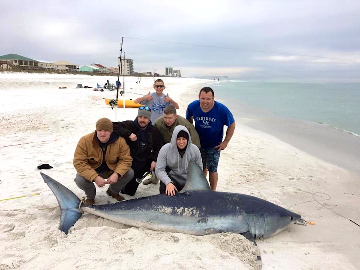 Military fishing team lands giant mako shark from Florida beach - Men's  Journal, image size:1200x900