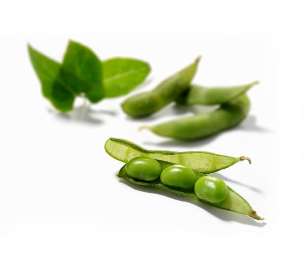 20 Get-Fit Foods for Weight Loss, Dieting, and Building Muscle 48 11 soy