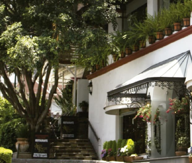 Best Bars in Mexico City for Low-key Cocktail Lounges and Mezcal Shrines