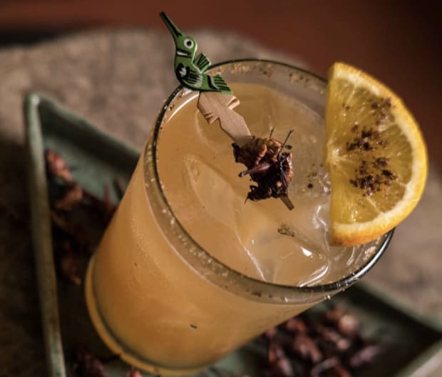 Best Bars in Mexico City for Low-key Cocktail Lounges and Mezcal Shrines