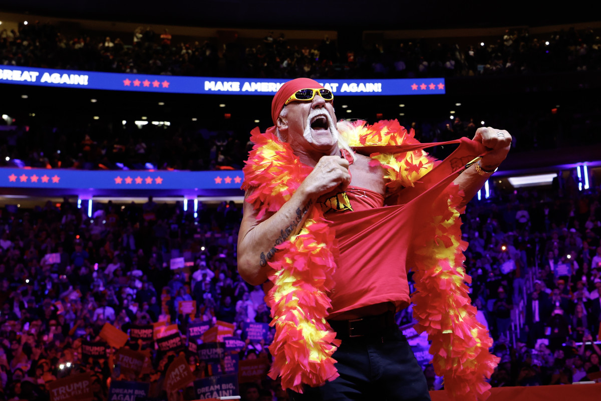 Hulk Hogan's Will Doesn't Include One Very Notable Person