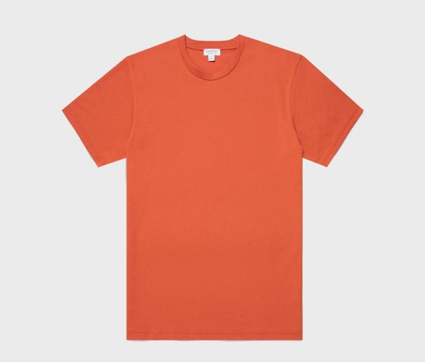 The Best Men’s Slim-Fit T-Shirts for 2023 33 sunspeltshirt1