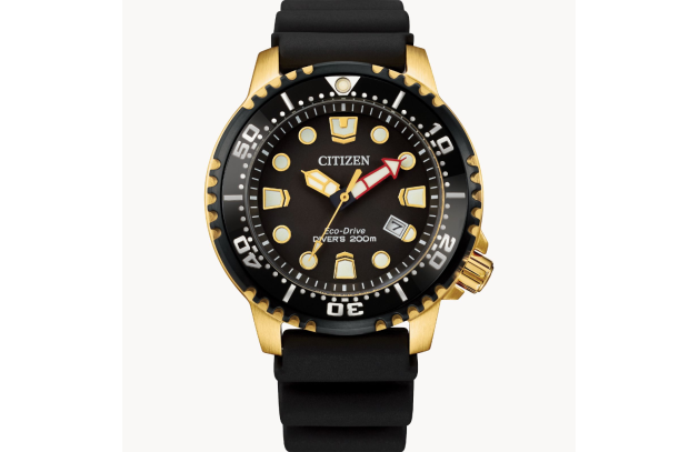 The Best Citizen Watches to Give Dad on Father’s Day Include On-Sale Finds 88 promaster dive citizen watch