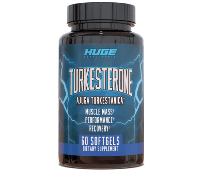 Turkesterone Guide: Benefits, Dosages, Safety and Where To Buy - Men's ...