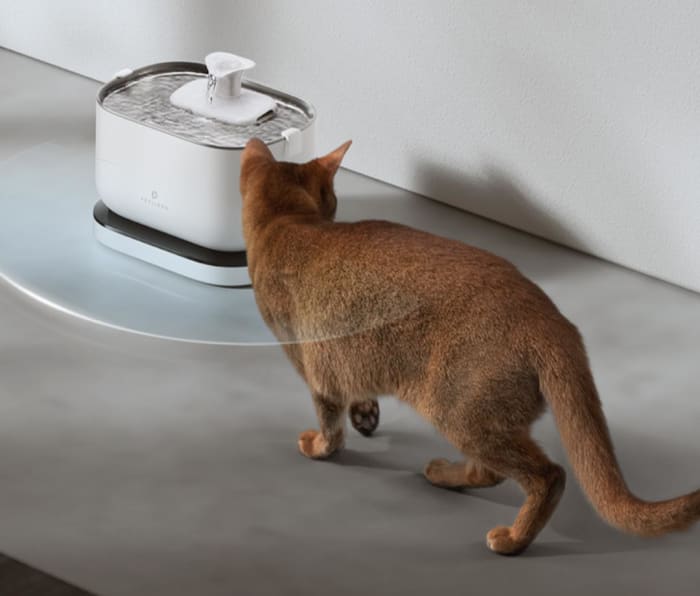 PETLIBRO Innovates with New Cordless Pet Water Fountains Men's Journal