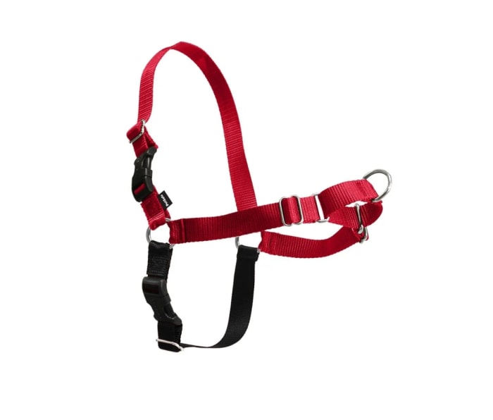11 Best Dog Harnesses for Outdoor Adventures Men's Journal Men's