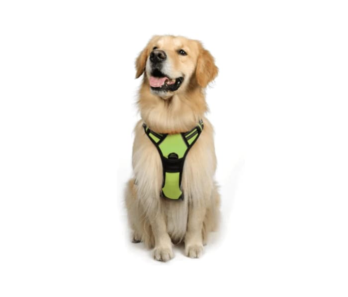 11 Best Dog Harnesses for Outdoor Adventures Men's Journal Men's