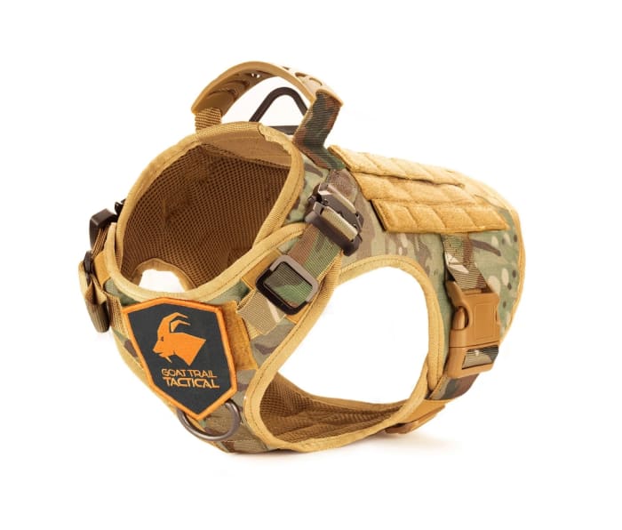 11 Best Dog Harnesses for Outdoor Adventures Men's Journal Men's