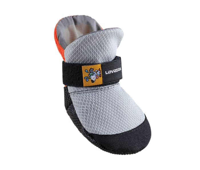 The Best Adventure Gear for Dogs Keep Your Pup Safe and Comfortable