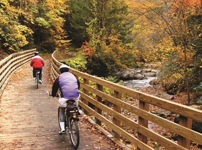 15 National Forests Perfect for Your Next Camping Trip Men's Journal