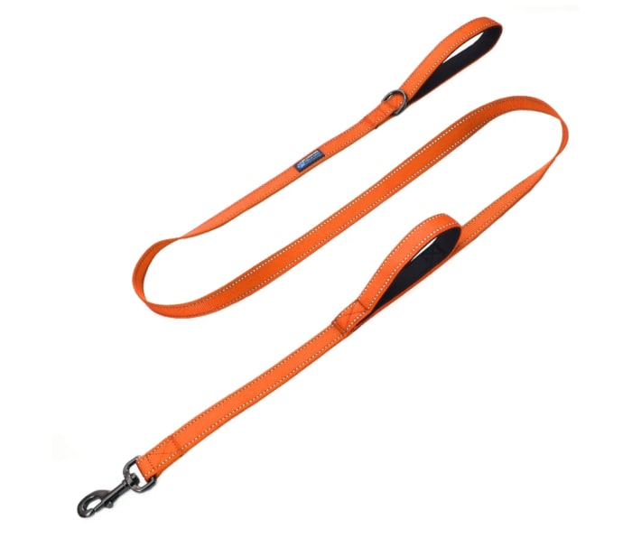 12 Best Dog Leashes of 2022 Men's Journal Men's Journal