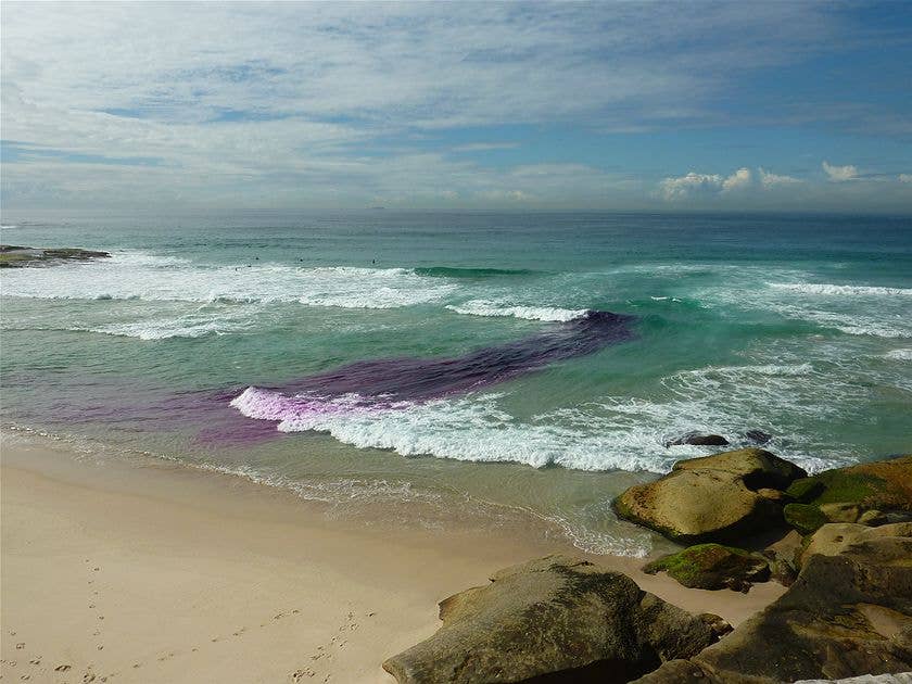 New study shines light on surviving riptides