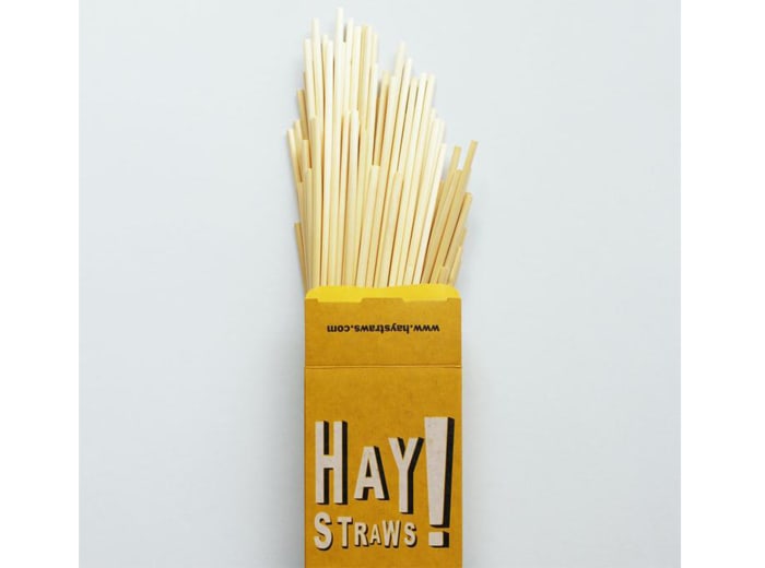 5 Ecofriendly Straw Alternatives to Use Instead of Singleuse Plastic