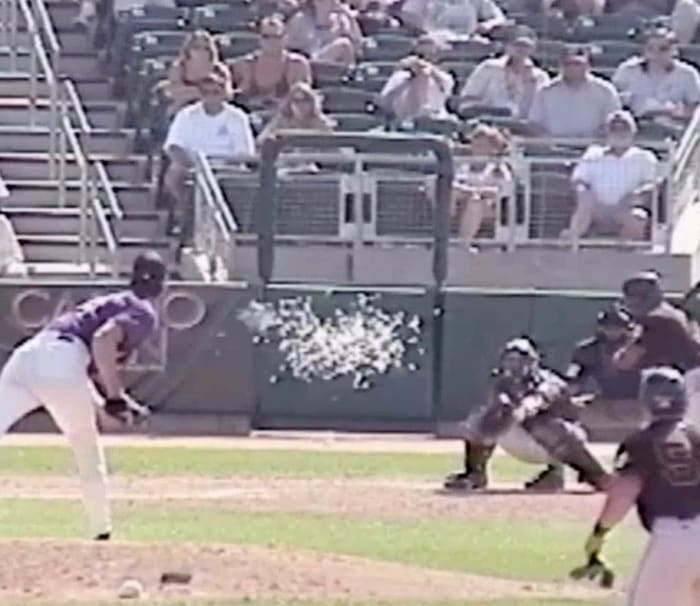 Fit Fix 15 Years Ago Today, Randy Johnson Obliterated a Bird With a