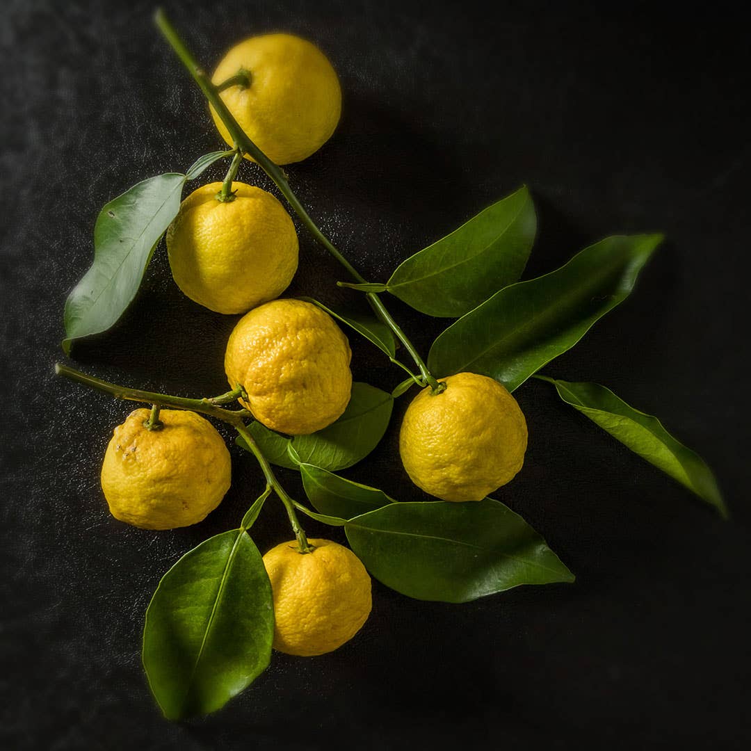 Where To Get The Freshest Seasonal Fall Foods Right Now Men s Journal