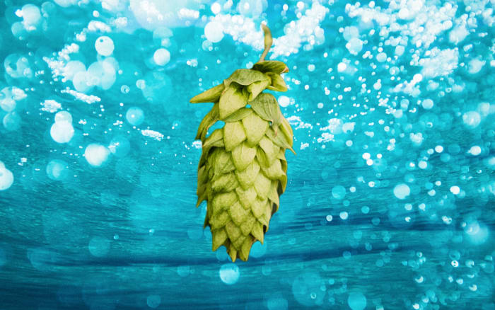 Is Hop Water the Best Non-Alcoholic Alternative to Beer? - Men's Journal