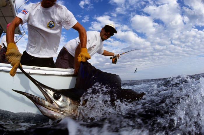 North Carolina Fishermen Win $1.7 Million Prize for Massive Blue Marlin