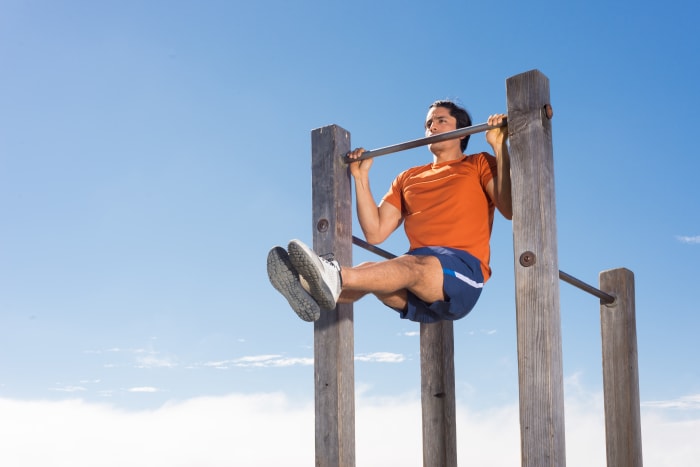 L-sit pullups