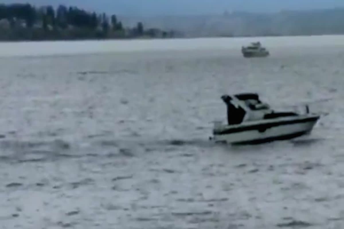 Whale watchers aghast when boat hits whale and gets lifted out of water