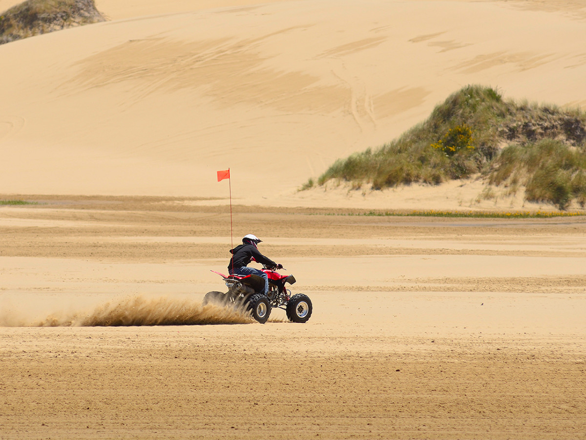 The Mighty American Road Trip Explore the rugged, foggy wilderness and