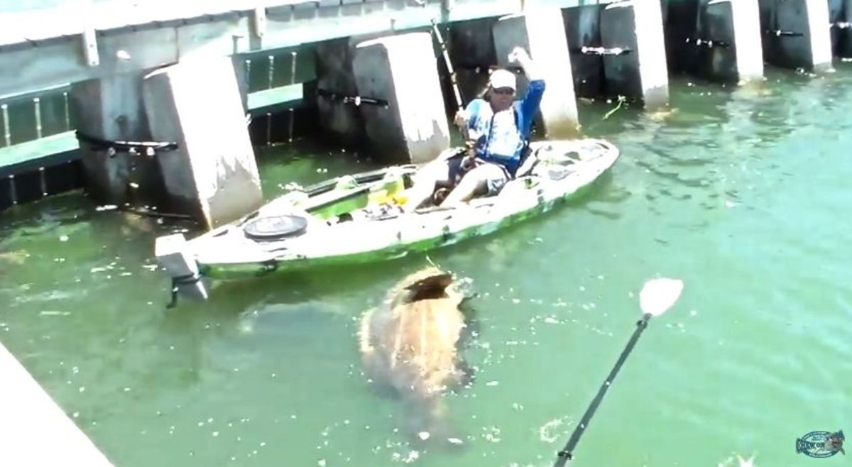 Screaming kayak angler catches giant goliath grouper Men's Journal