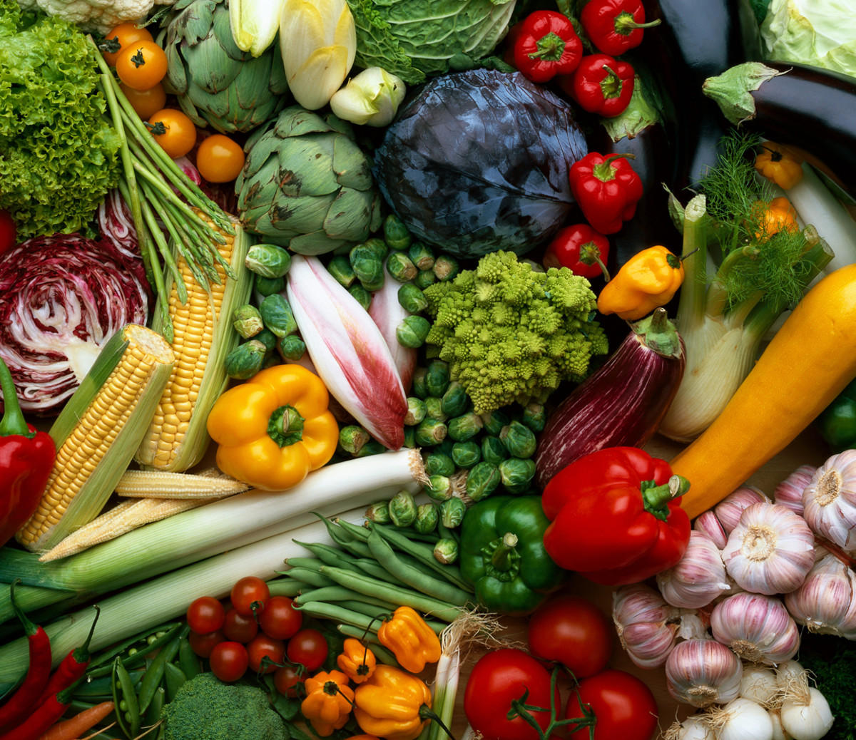 The Paleo Diet Beginner s Guide