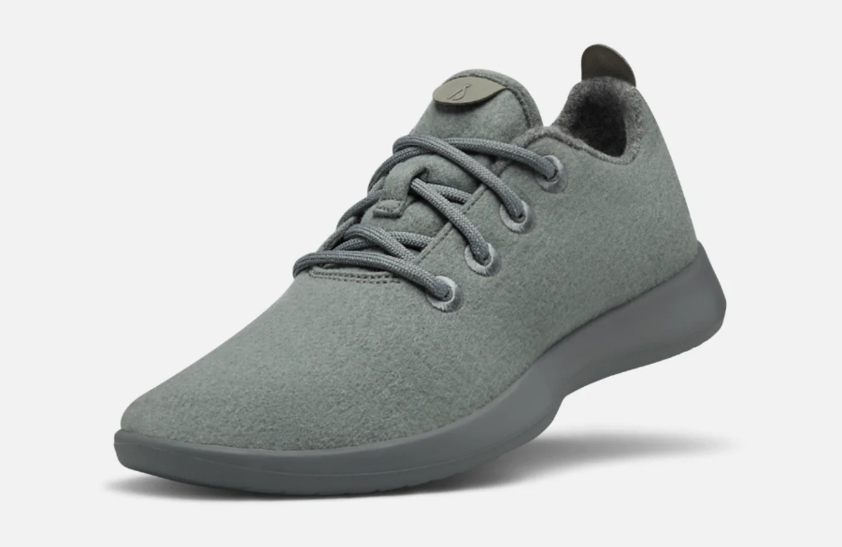 Allbirds dolphin 2025