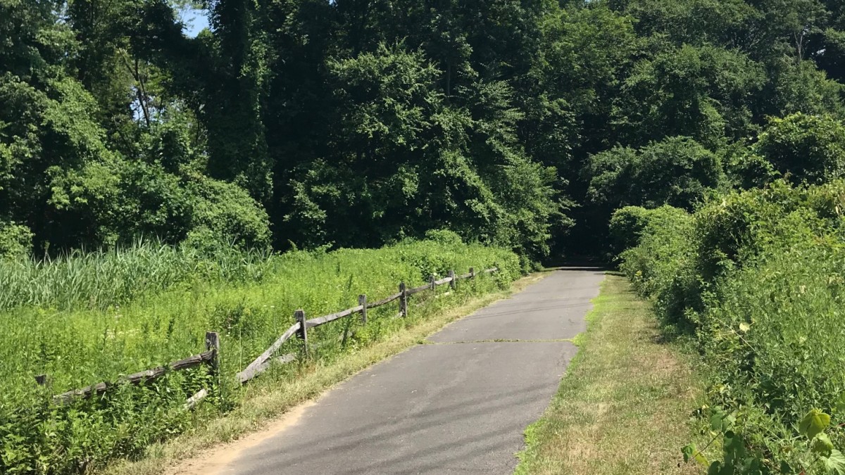 10 Great Bike Trails in the U.S. Every Cyclist Can Ride This Summer