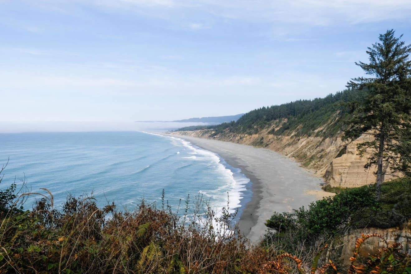 Path Point Ca California Road Trip Planner: The Best Views, Trails, and Campgrounds