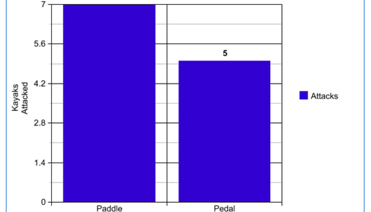 Great White Kayak Attacks Paddle vs. Pedal Men's Journal